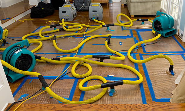 Professional Basement Flood Cleanup technician working in Gilman, IL